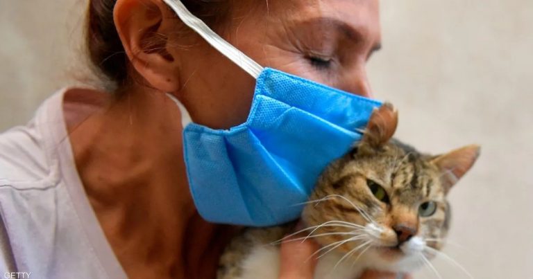 تسجيل أول حالة انتقال عدوى “كوفيد-19” من قطة إلى إنسان