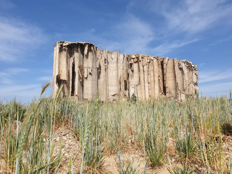 نقابة المحامين: لإبطال قرار هدم الاهراءات