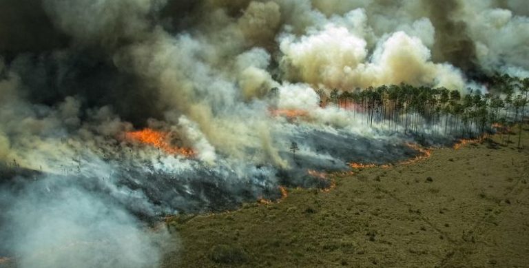 حرائق “الأمازون” تسجّل رقماً قياسياً!