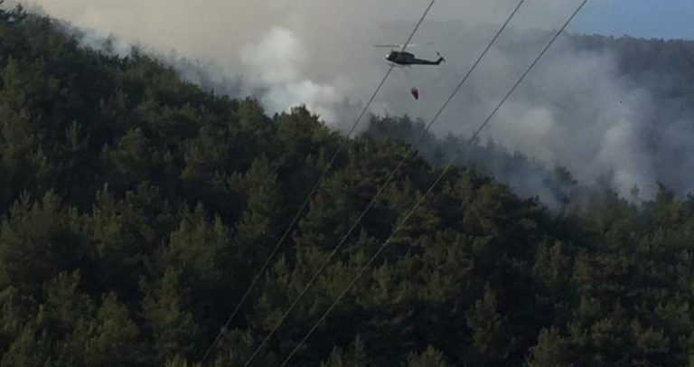 غرفة عمليات في السرايا لمتابعة حريق الضنية