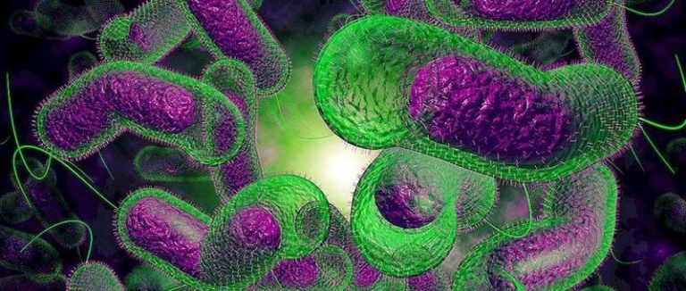 الكوليرا تغزو العراق.. وتحذيرات للمواطنين