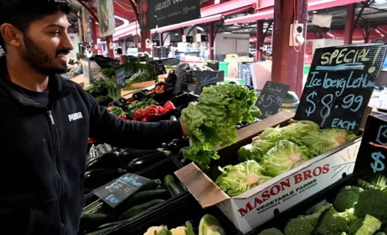 “الملفوف ليس مثل الخس”.. رئيس وزراء أستراليا يعلن “أزمة وطنية”!