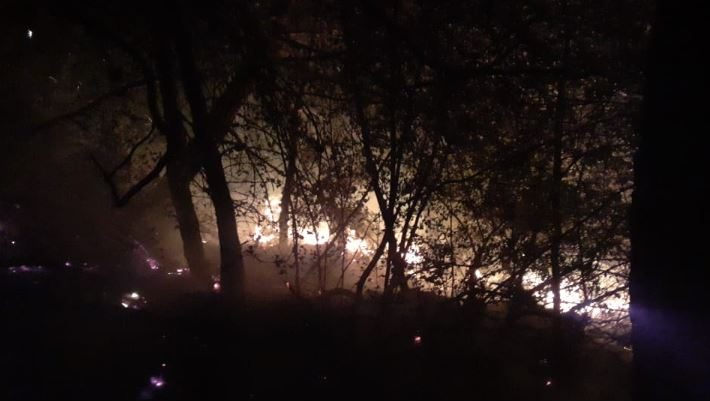 طوّافات الجيش بدأت عملية إطفاء الحريق في الضنية