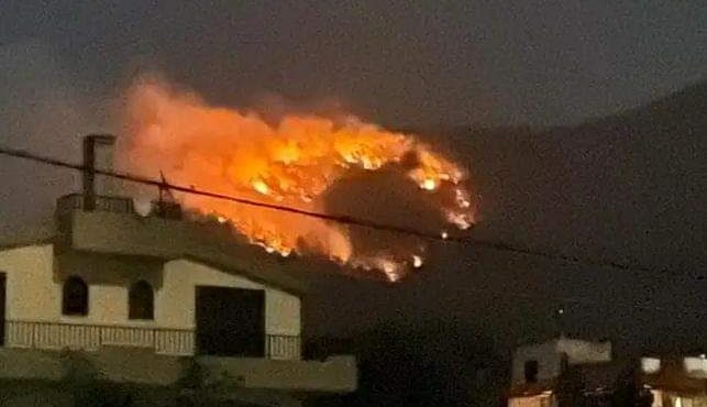 بالفيديو: حريق كبير في أكبر غابة في الشرق الأوسط