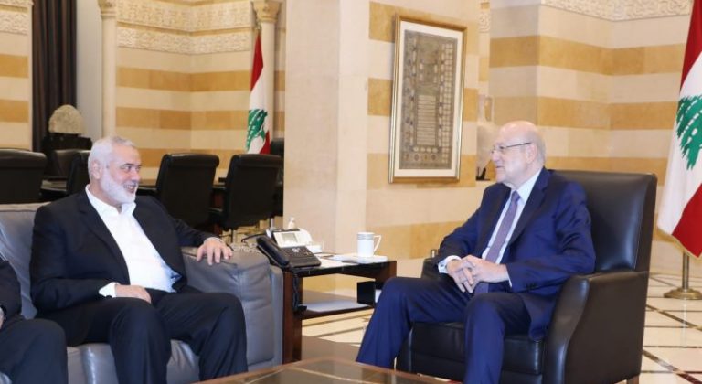 هنية التقى ميقاتي: وحدة لبنان واستقراره وأمنه قوة لفلسطين
