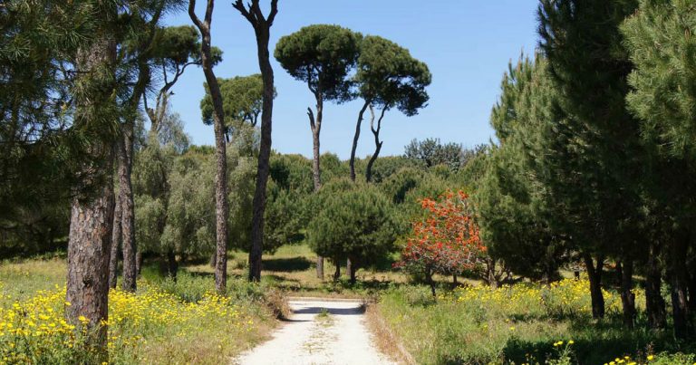 بالفيديو: اندلاع حريق في حرج بيروت