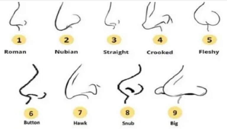 إعرف شخصيتك من شكل أنفك