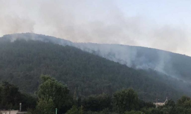 “درب عكار” في تقرير عن حريق بطرماز: 40 هكتارا متضررة