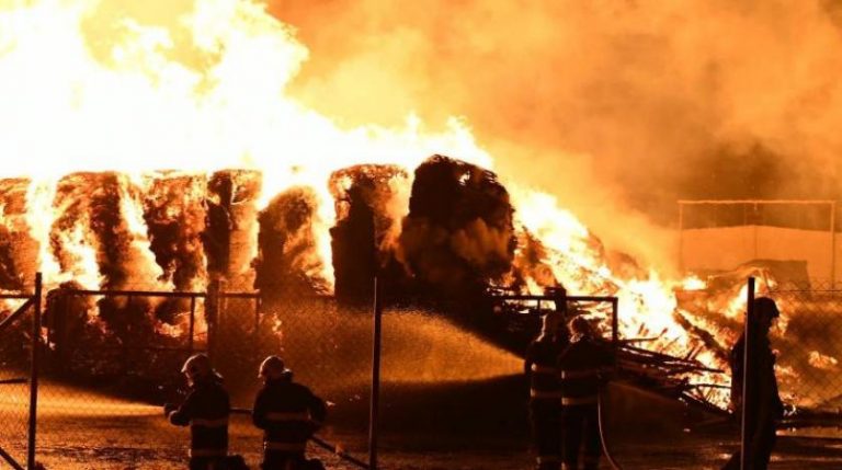 حريق يستمر 5 ساعات ويدمر 150 من أصول النخيل في تونس