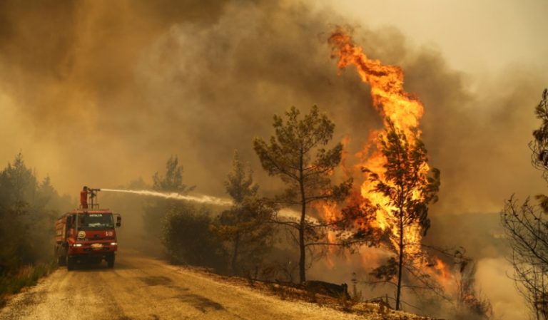 حرائق في عكار تلتهم الممتلكات (فيديو)