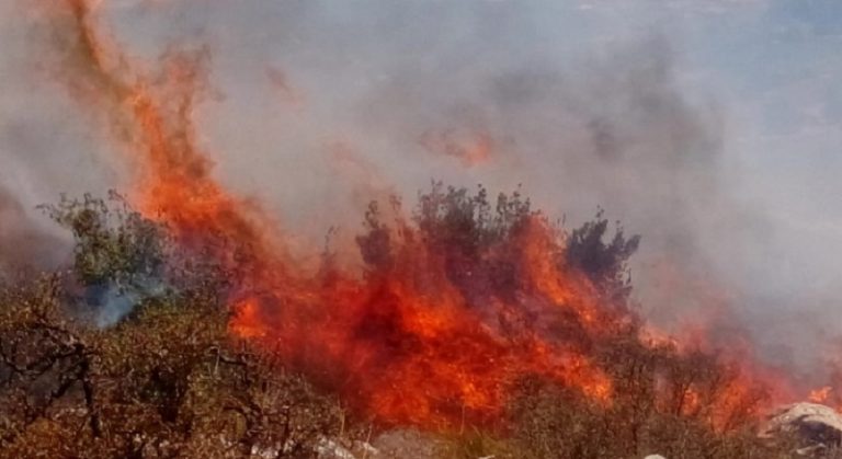 وزير الزراعة يطلب تدخل مروحيات الجيش لإطفاء الحريق بين كفرمان وسجد
