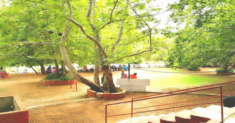 بالفيديو.. 5 جرحى بإشكال في عيون السمك