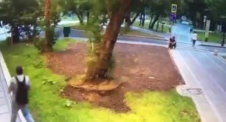 بسبب الرياح الشديدة.. مصرع شخص في موسكو!