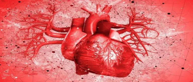 فيروس “كوفيد-19” قد يكون ساما لخلايا عضلة القلب!