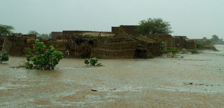 7 قتلى بسيول في ولاية جنوب دارفور السودانية