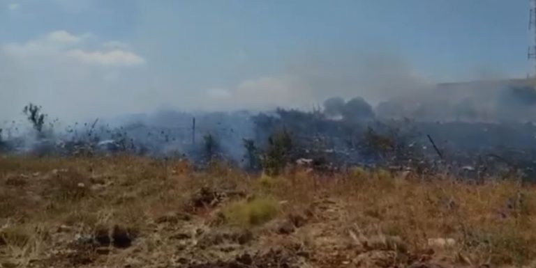 بالفيديو: حريق كبير عند الحدود اللبنانية الفلسطينية