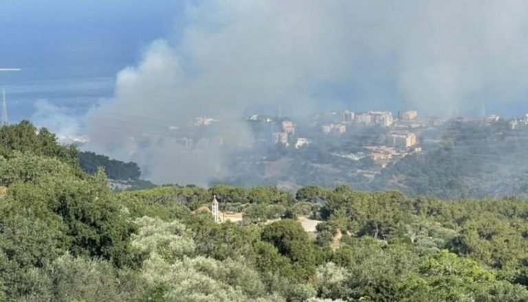 بالفيديو والصور: حريق كبير في أحراج رومية