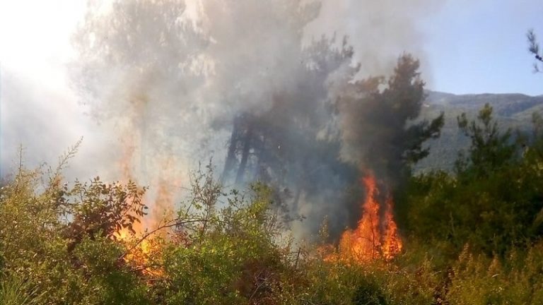 بالصور: حريق في بلدة قبعيت.. والأهالي يناشدون