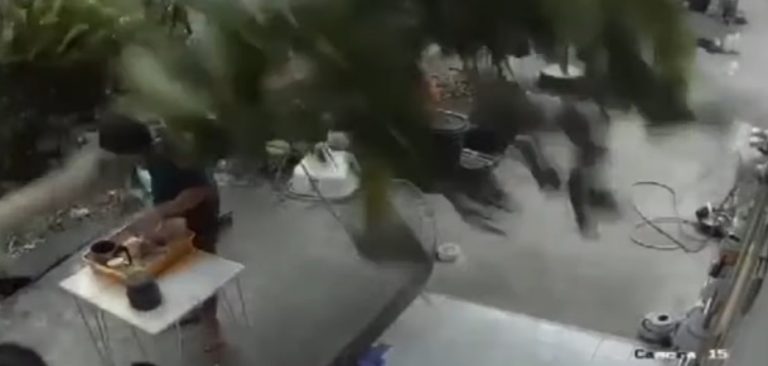 بالفيديو: نجا بأعجوبة بعد سقوط شجرة