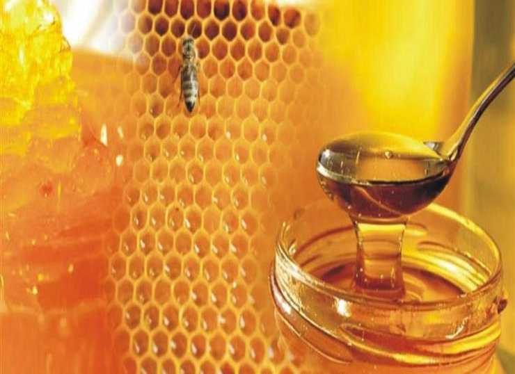 كيف تفرق بين العسل المغشوش والعسل الأصلي؟