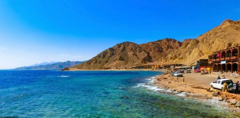 العثور على سمكة “أبو الشص” في المحيط الهادئ (صورة)