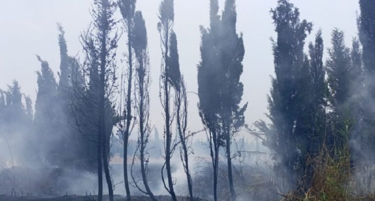 حريق في المشتل الزراعي لوزارة الزراعة في العبدة والأهالي يناشدون