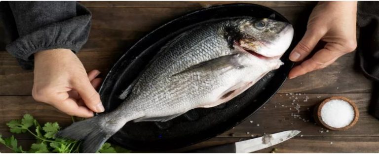 مادة في الأسماك يمكن أن تزيد من خطر الإصابة بألزهايمر
