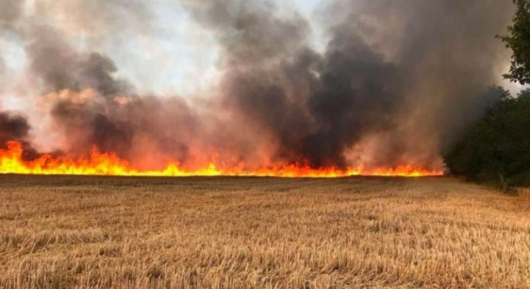 بالفيديو: روسيا تقصف حقول قمح جنوب اوكرانيا