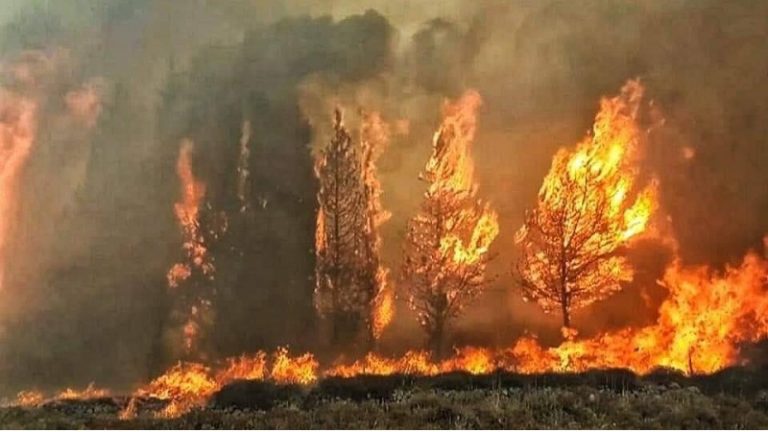 إعلان حال الطوارئ في البرتغال بسبب الحرائق