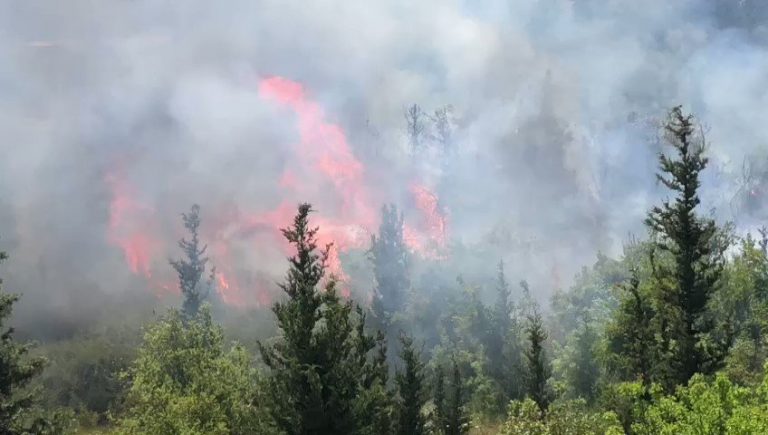 بالفيديو: حريق كبير في الضنية