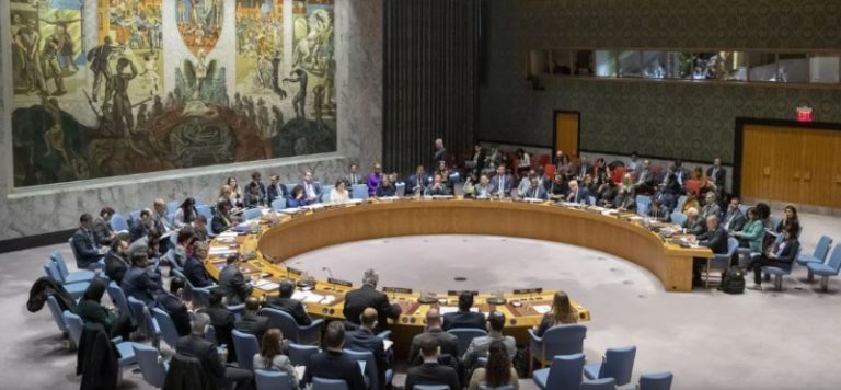 الإمارات تدعو مجلس الأمن لبحث التطورات في غزة