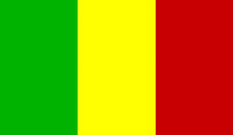 ارتفاع حصيلة القتلى في هجوم تيسلي بمالي إلى 42 جنديا