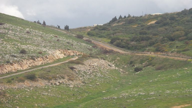 جرّافة إسرائيلية تزيل الأشجار قبالة وادي هونين