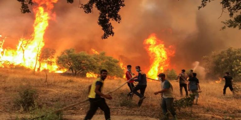 الجزائر: عشرات الضّحايا وفرار مواطنين بسبب الحرائق