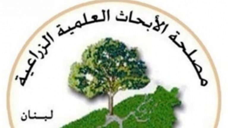 موجة الحر تشتد غدًا