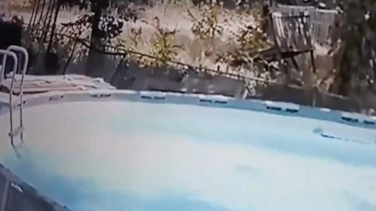 بالفيديو: طفل ينقذ والدته بشجاعة لافتة