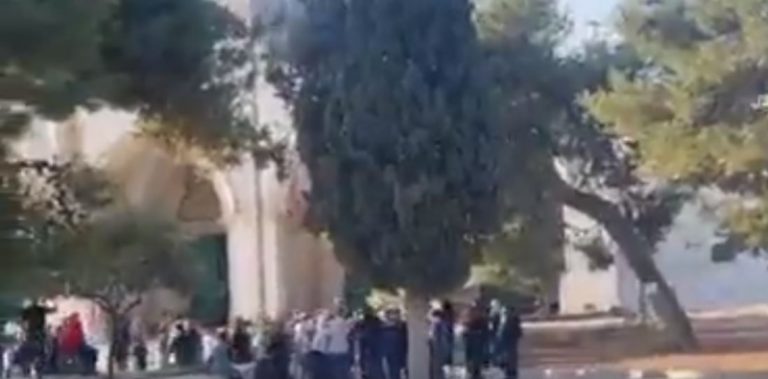 بالفيديو: المستوطنون يقتحمون المسجد الأقصى
