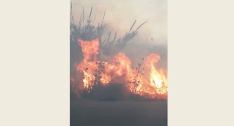 حريق ضخم في بسبينا – البترون والعمل جار على اخماده