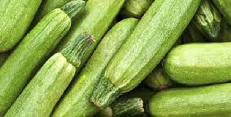 خطر أكل الكوسا على أمراض المعدة والكلى