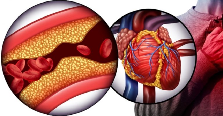 علماء ينتجون الخريطة الأكثر تفصيلًا لقلب الانسان