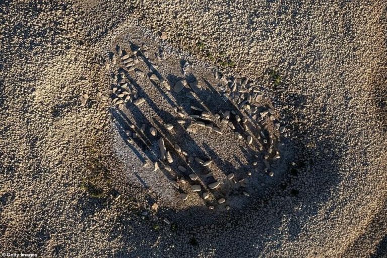 دراسة تكشف تأثيراً خطيراً للتغير المناخي على نصف الأرض الشمالي!