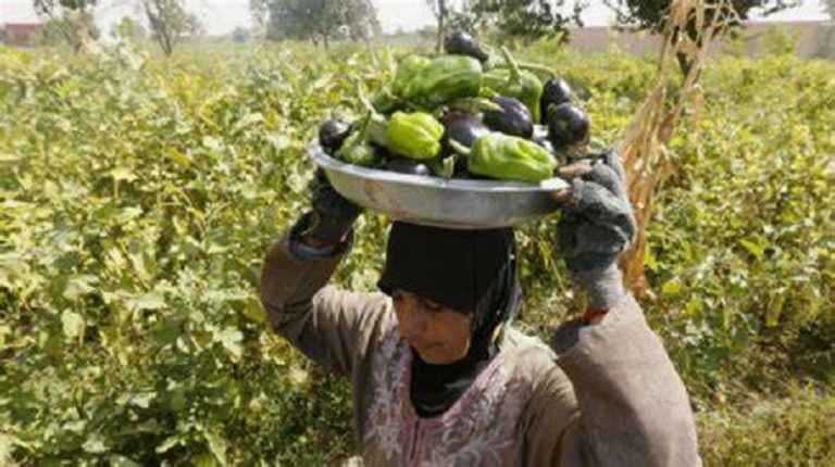 هبة من البنك الدولي لتعزيز الأمن الغذائي في لبنان