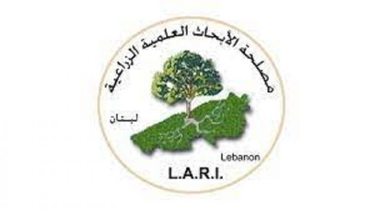 مصلحة الابحاث العلمية: موجة حر تبدأ في 17 آب