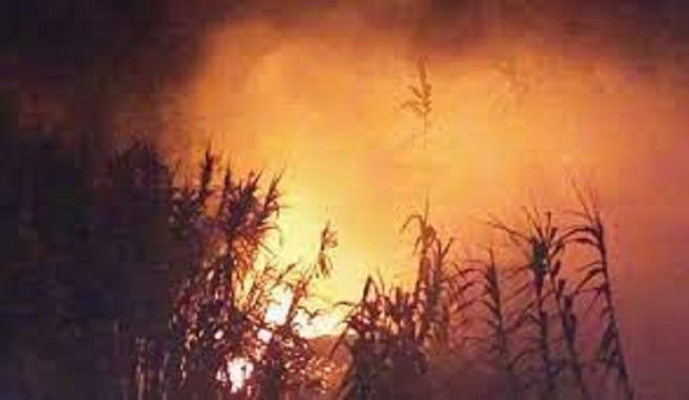 حريق كبير في خراج بلدة قبة شمرا العكارية