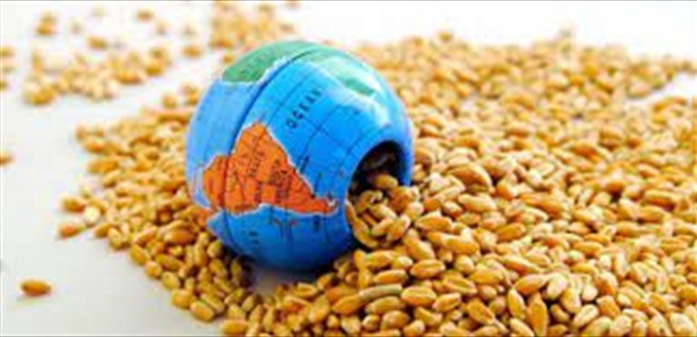 خطر جديد يهدد العالم… أزمة غذاء عالمية تلوح في الافق