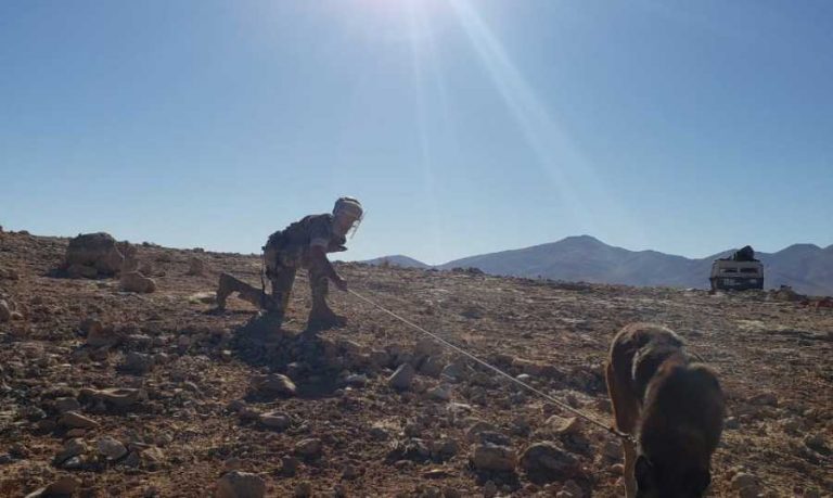 في عرسال.. ازالة الغام غير منفجرة