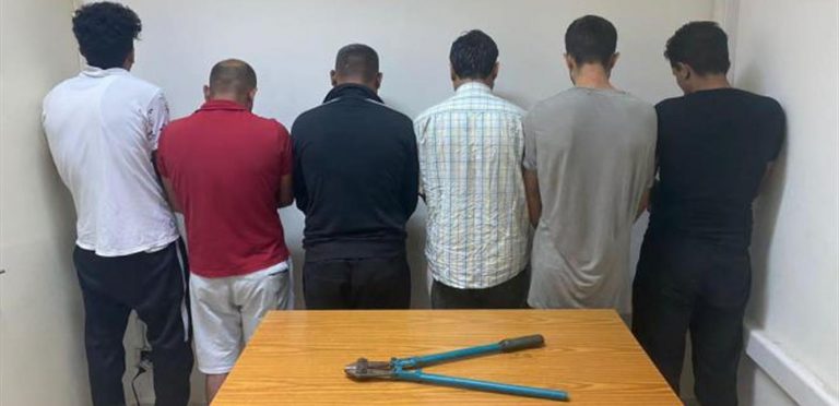 عصابة سرقة أسلاك كهربائية.. في قبضة قوى الأمن