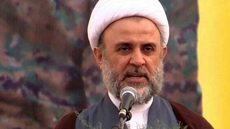 قاووق: معادلة المقاومة تضمن استعادة الثروات