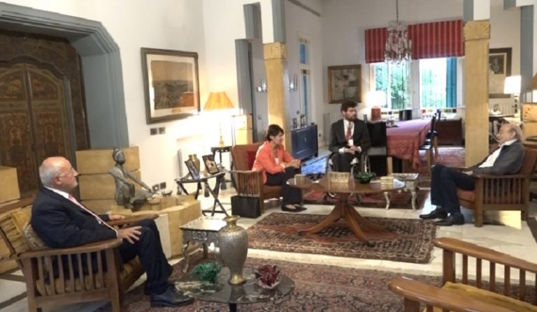 جنبلاط بحث الأوضاع اللبنانية مع غريو