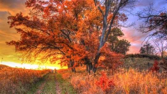 درجات الحرارة إلى انخفاض.. كيف سيكون الطقس؟